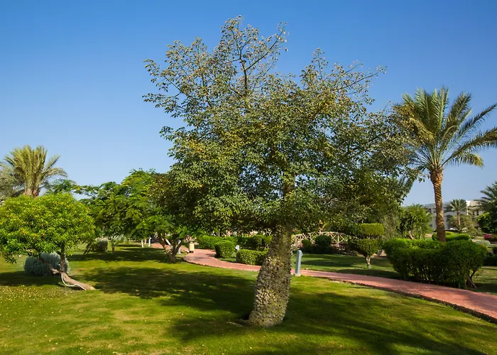 Aurora Oriental Sheikh 5* Sarm es-Sejk