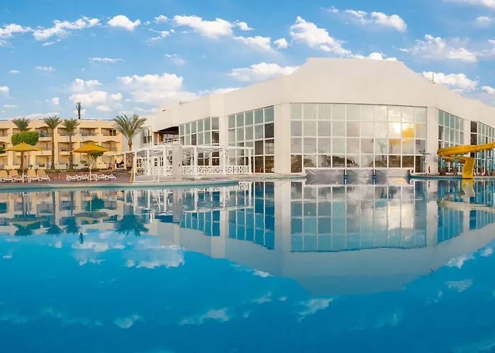 Aurora Oriental Sheikh