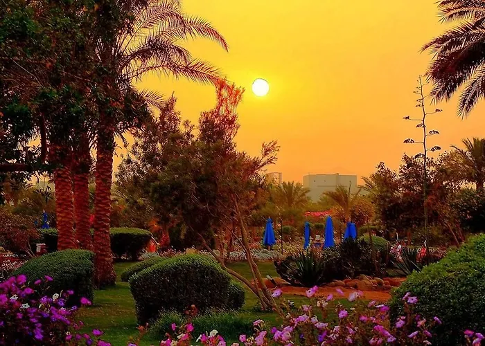 Aurora Oriental Sheikh 5*