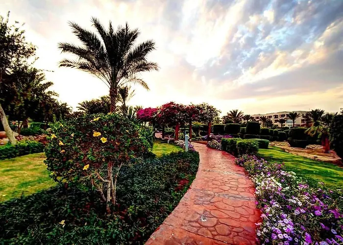 Resort Aurora Oriental Sheikh Şarm El-Şeyh